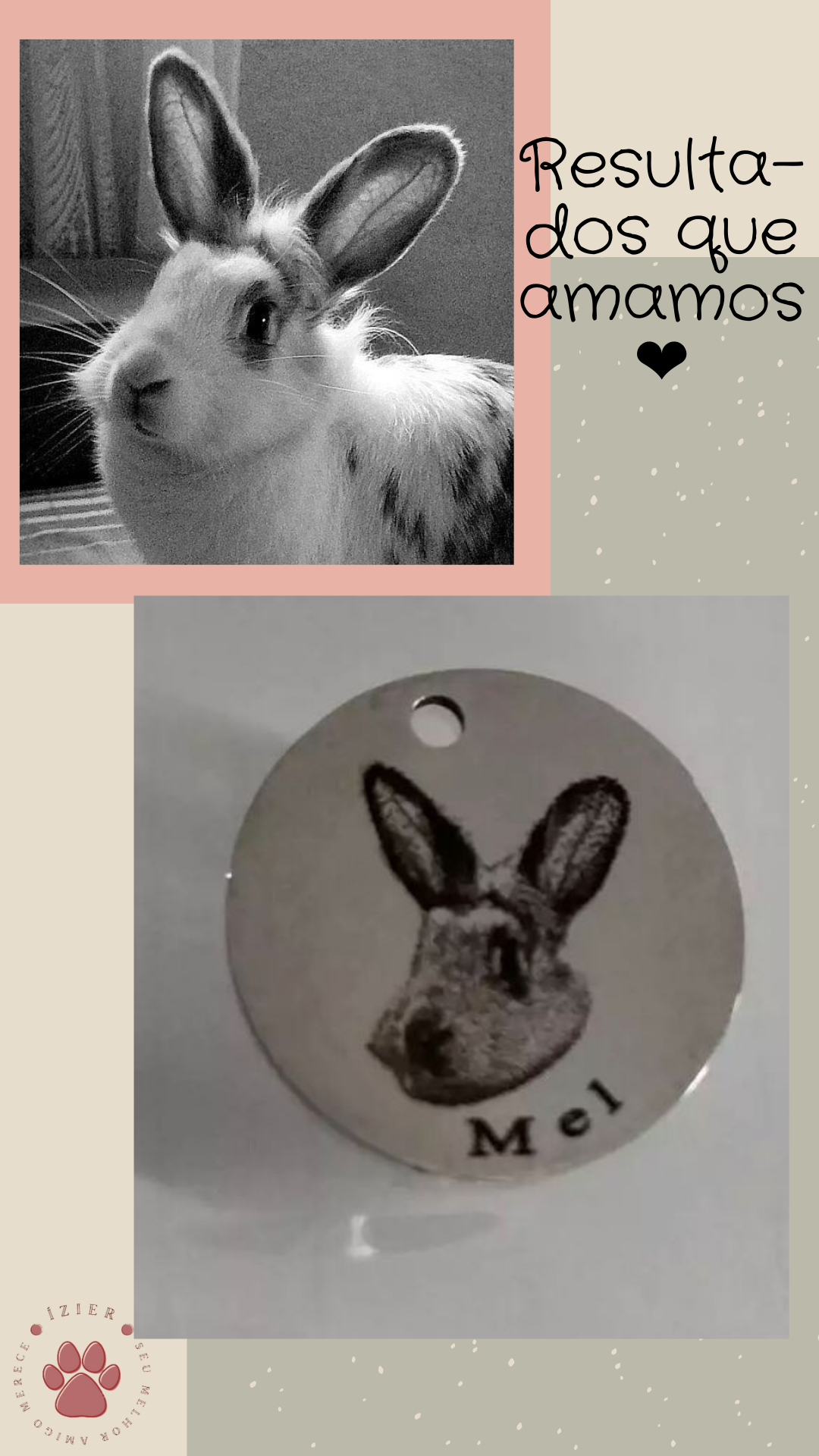 Corrente de Amor - Pingente Personalizado com a foto do seu pet