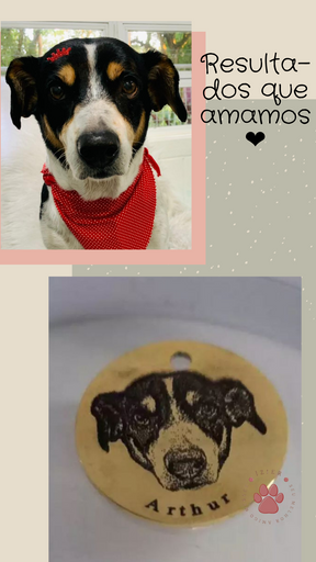 Corrente de Amor - Pingente Personalizado com a foto do seu pet