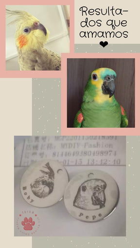 Corrente de Amor - Pingente Personalizado com a foto do seu pet