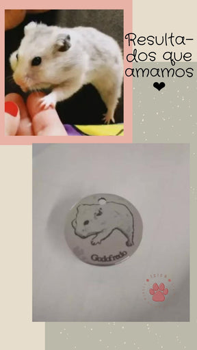 Corrente de Amor - Pingente Personalizado com a foto do seu pet