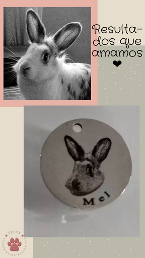 Corrente de Amor - Pingente Personalizado com a foto do seu pet