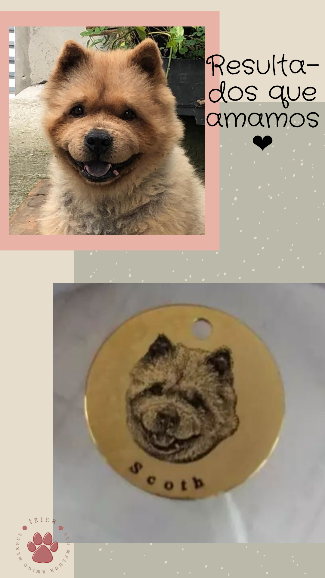 Corrente de Amor - Pingente Personalizado com a foto do seu pet